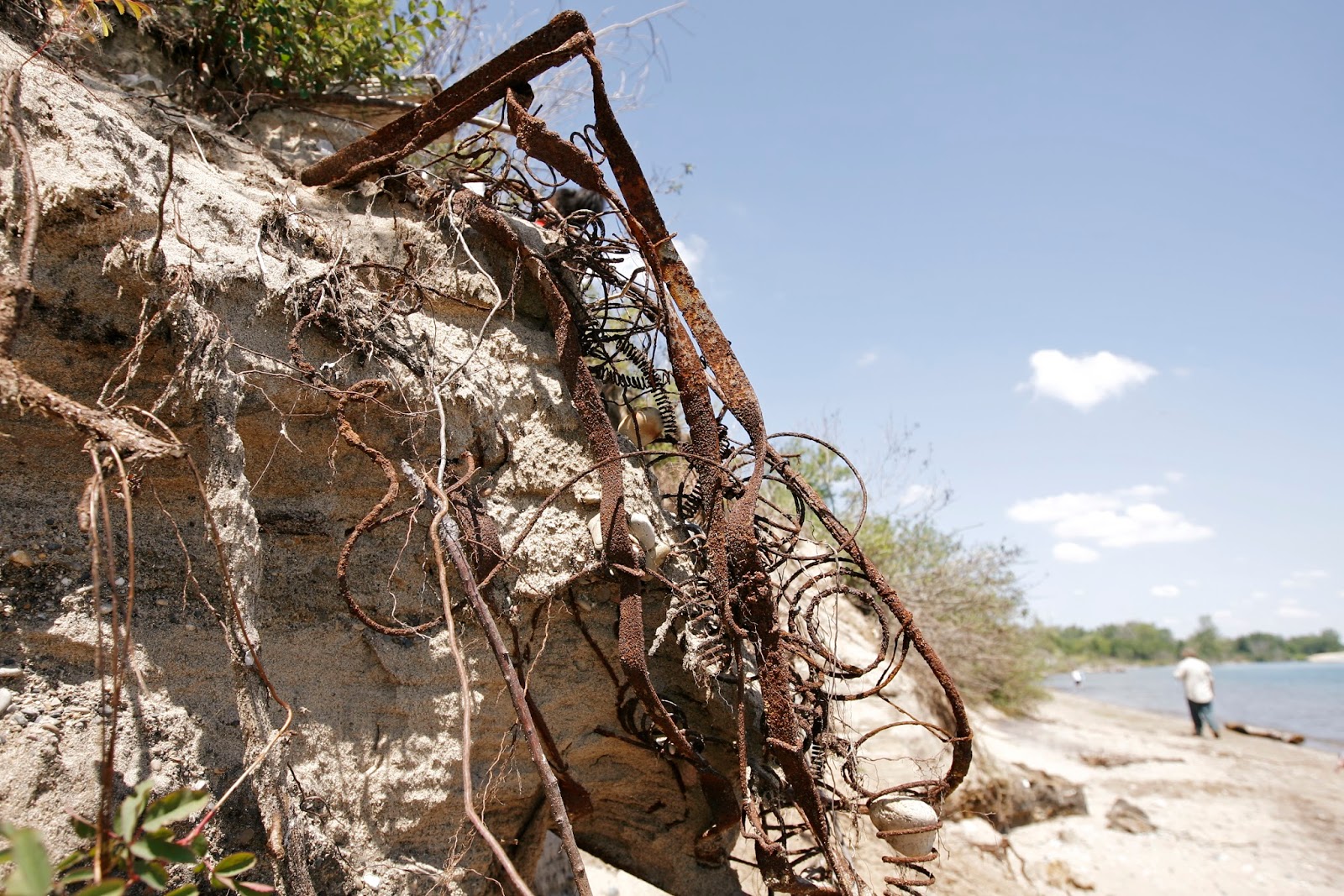 Mark Kodiak Ukena Shedd Aquarium and Volunteers Zion Beach CleanUp