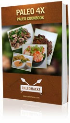 Paleo Healthy Diet Recipes