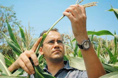 Ορισμός καταληκτικών ημερομηνιών για τη χορήγηση άδειας παρέκκλισης για τη χρήση πολλαπλασιαστικού υλικού στη Βιολογική γεωργία» (2015) Ορισμός καταληκτικών ημερομηνιών για τη χορήγηση άδειας παρέκκλισης για τη χρήση πολλαπλασιαστικού υλικού στη Βιολογική γεωργία» (2015)