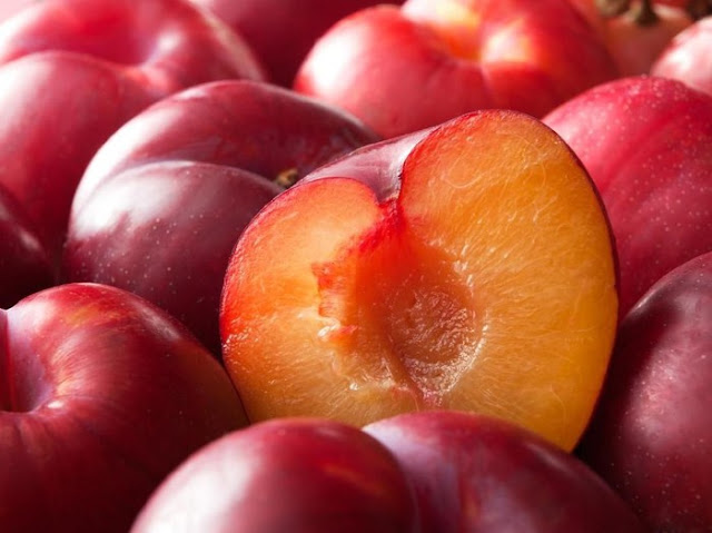 11 Manfaat Buah Plum untuk Kesehatan 11 Manfaat Buah Plum untuk Kesehatan