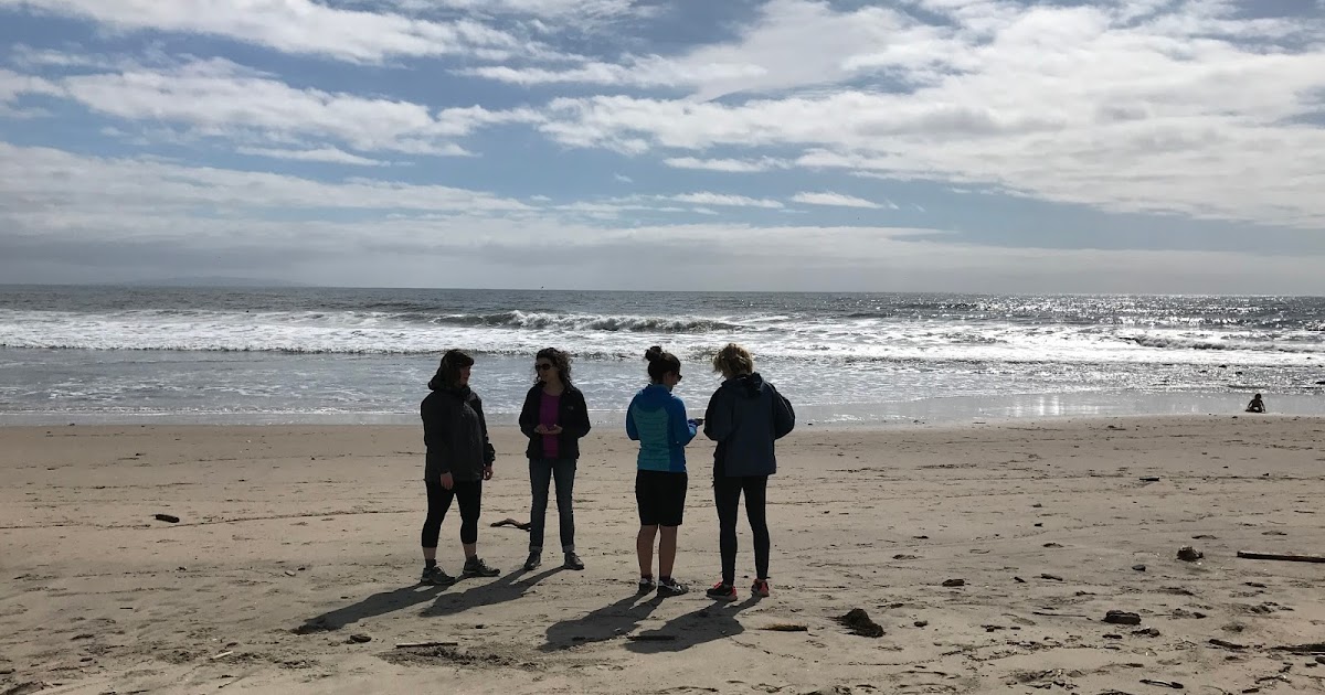 Malibu Lagoon tide pools after the rains, Malibu, CA February 2017
