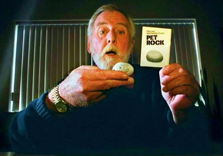 Gary Dahl evcil taşlar satarak 0'dan başlayıp zengin olanlar arasına girmiştir.