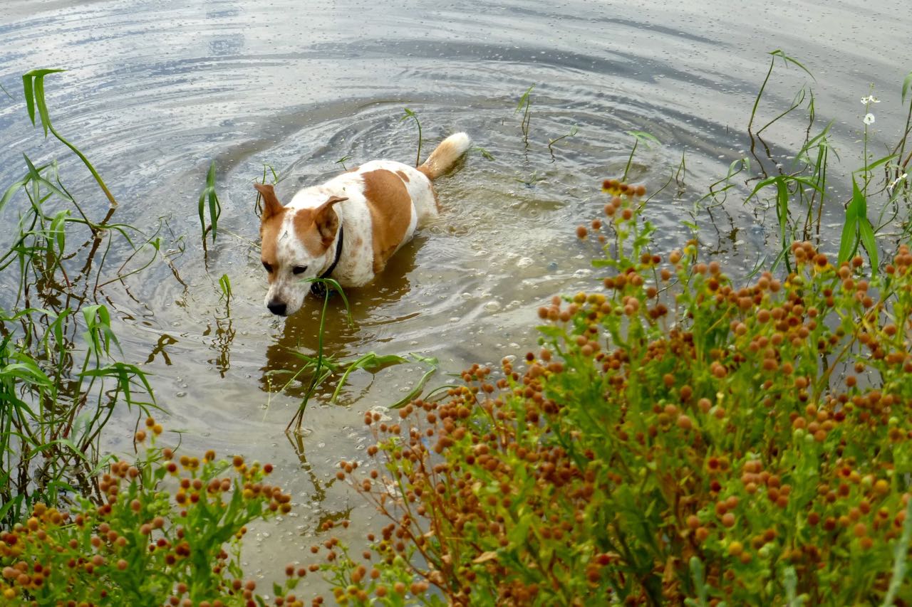 Greg's Running Adventures 2015