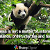 34 Image Funny inspirational Quotes about Life and Happiness