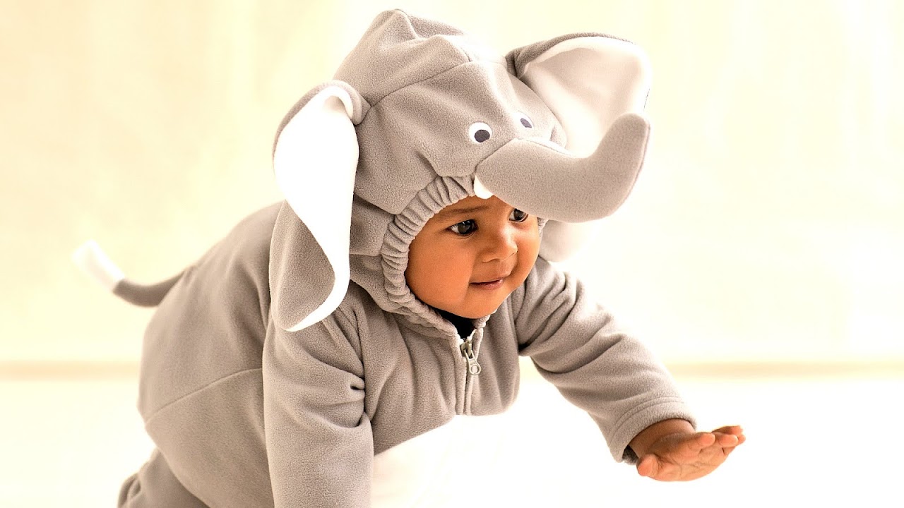 Elephant Costume Diy - DIY Choices