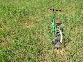 A bicycle abandoned in a field of grass