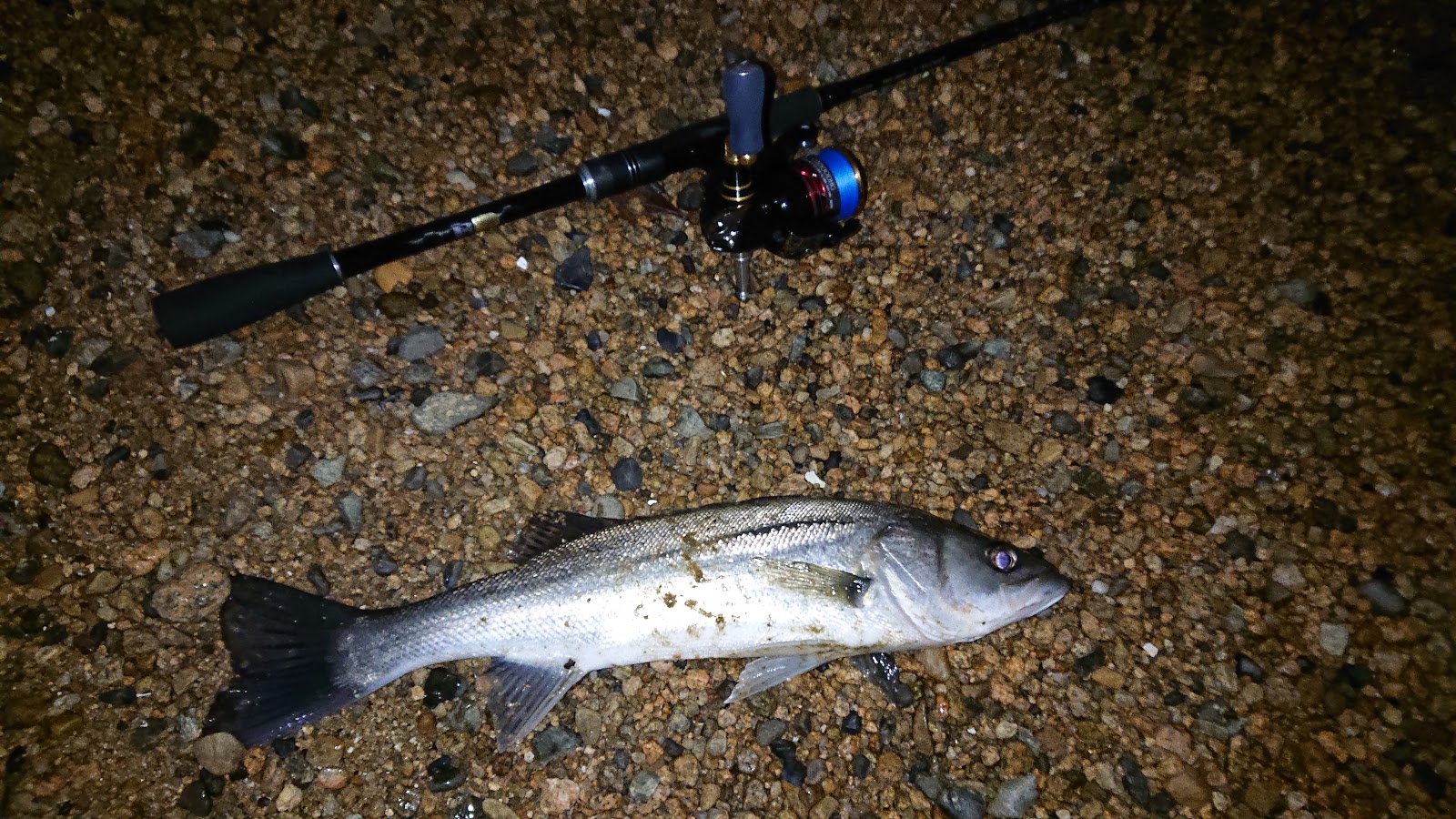 スモールフィッシング タックルについて シマノ ボーダレス ショートスペック 260m T のインプレ