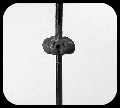 Gardens of Hecate: LI. Tutorial: How to Sculpt a Ruff