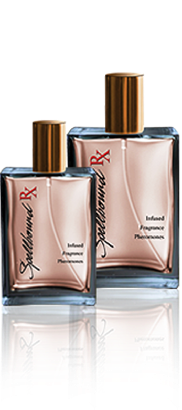 Best Pheromone Perfume Pheromone For Men Colognes To Attract Women Best Pheromone Perfume Pheromone For Men Colognes To Attract Women
