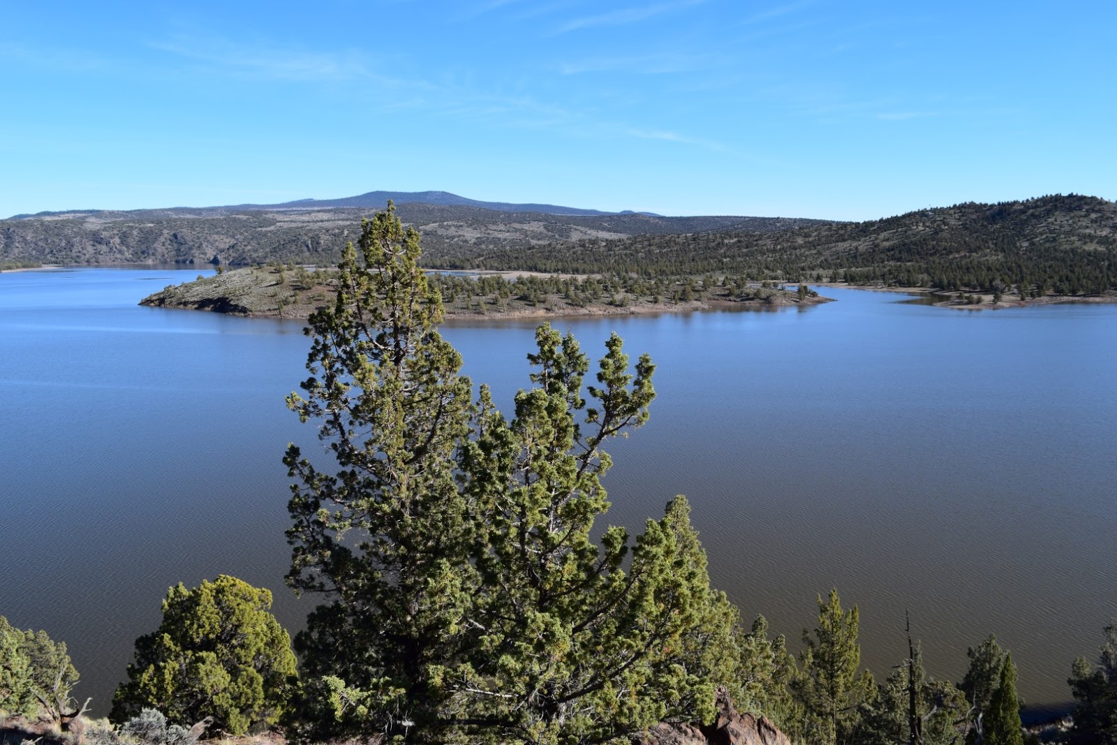 Bob DenOuden's Pacific Northwesterner Prineville Reservoir