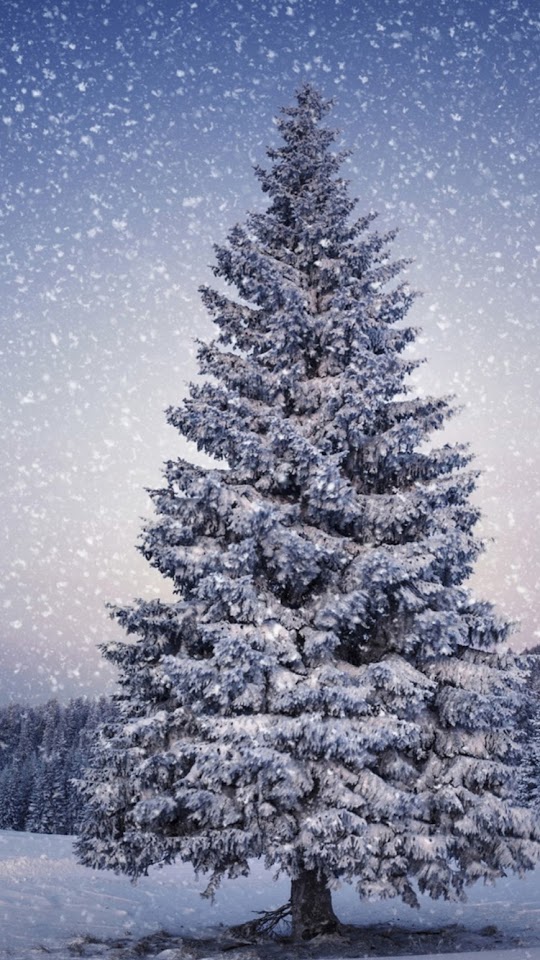 Beautiful Christmas Tree Snow  Android Best Wallpaper