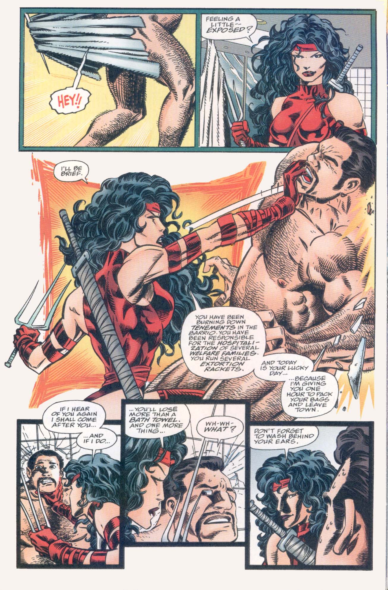 Elektra (1996) Issue #10 - Flowers & Flamethrowers #11 - English 19