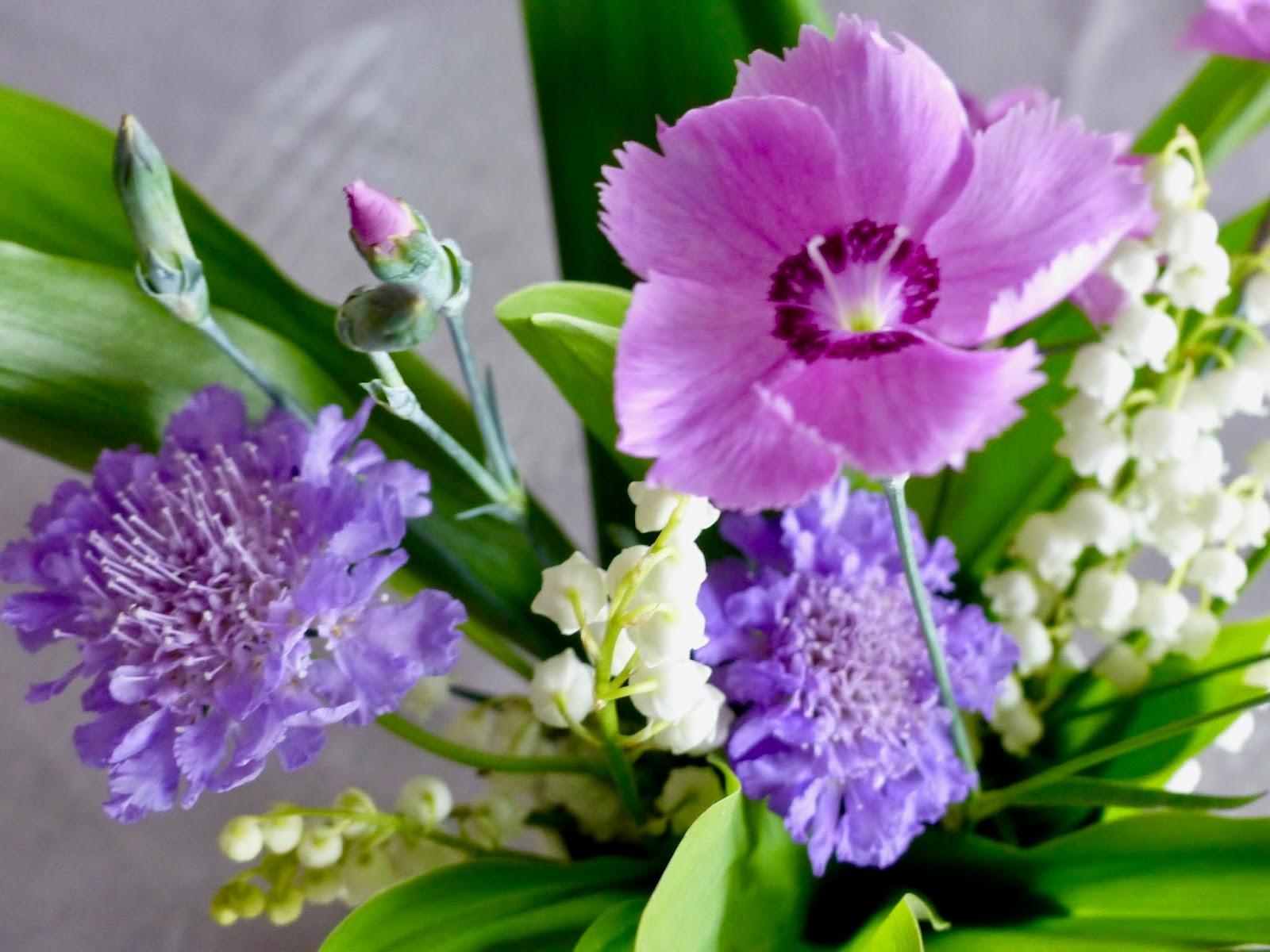 Quelques Fleurs Pour Un Grand Evenement Et Aurelie Alors