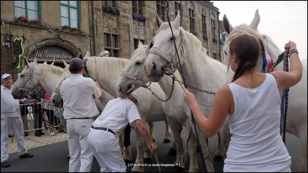 le-juste-imaginum-hondschoote-la-karyole-feest-2014