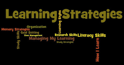 Owen's reflective journal (learing style) Learning Strategy