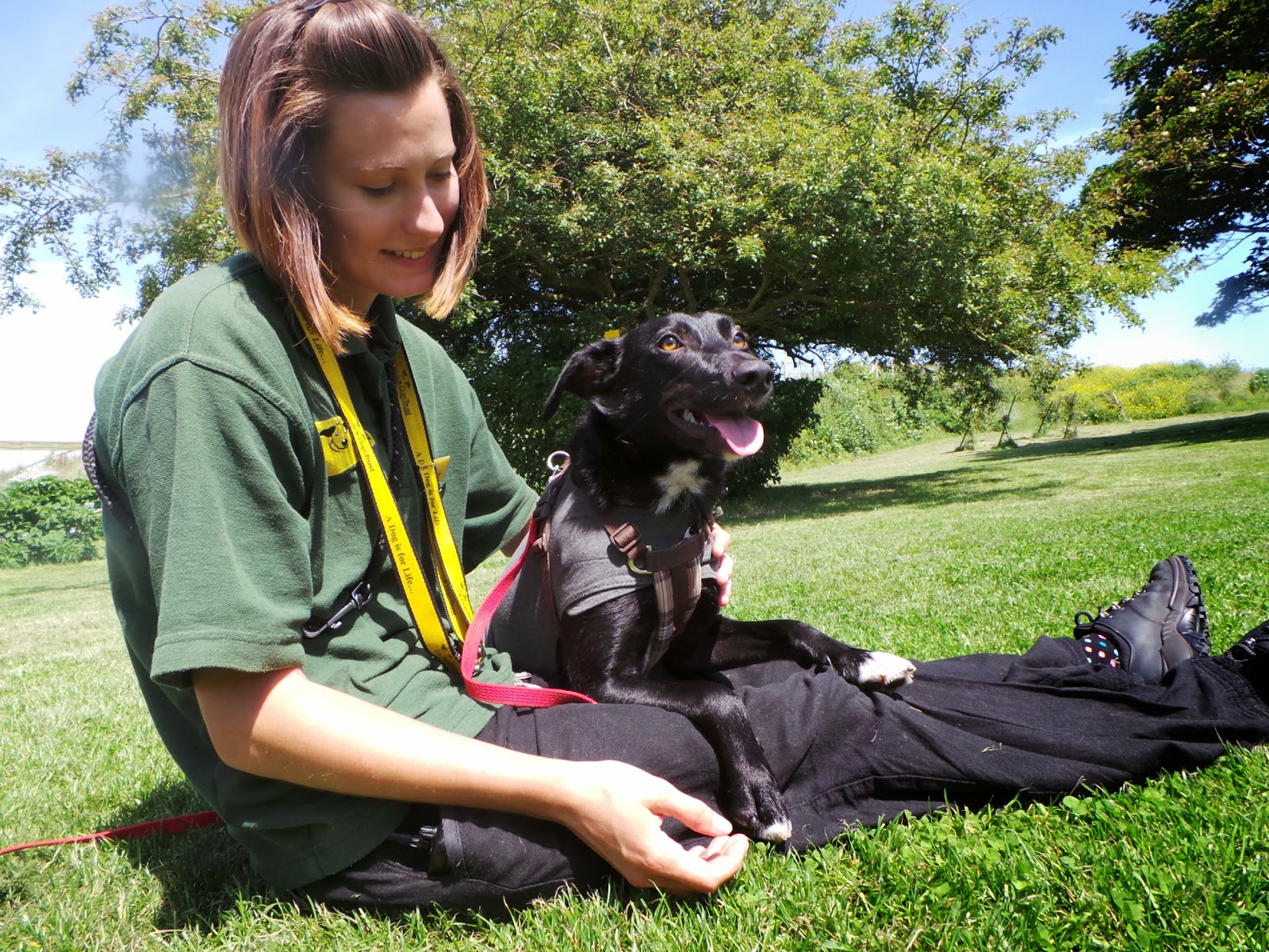 Dogs Trust Dogs Trust Shoreham Thompson