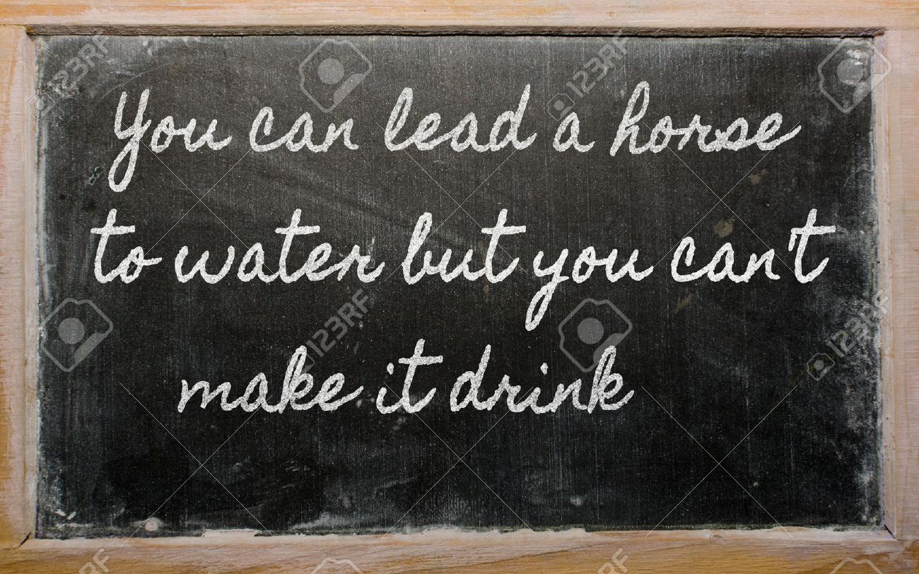 You can lead a horse to water...more thoughts on motivation