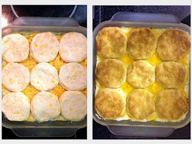 Chicken & biscuit casserole