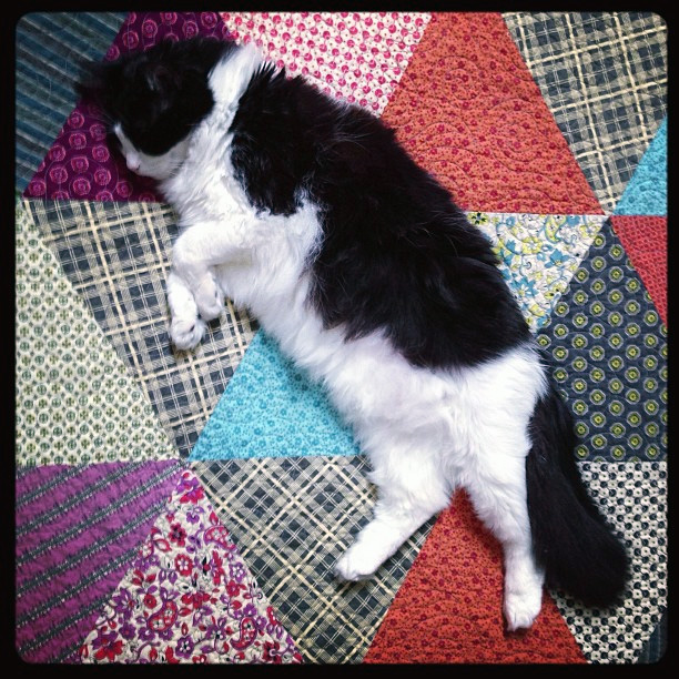 Fancy Tiger Crafts Cat Yarn! Meow Foundation Yarns are Here in Colors