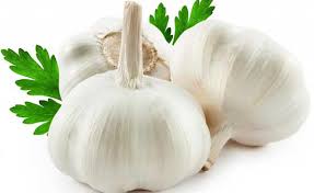 cara menyembuhkan sipilis dengan bawang putih cara menyembuhkan sipilis dengan bawang putih