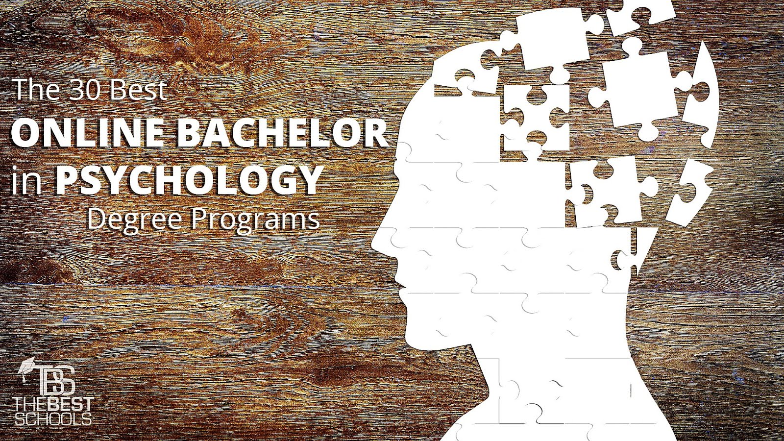 Psychology Masters Programs Online Psychology Choices