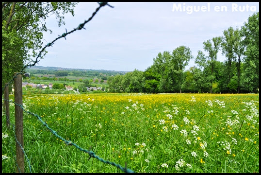 Ardenas-Flamencas-Koppenberg