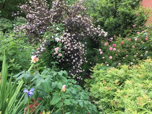 Animal Crossing New Horizons Bunny Day Event Leif Coming In April