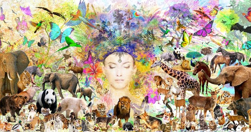 Per√∫のエコリージョンとその特徴 - Per√∫の熱帯の海