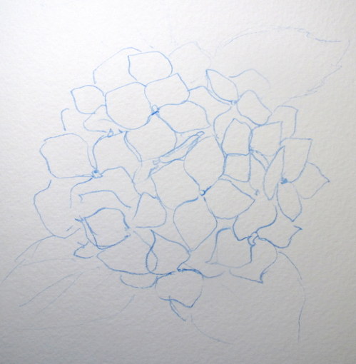  Artist: StepbyStep Watercolor: How to Paint a Blue Hydrangea