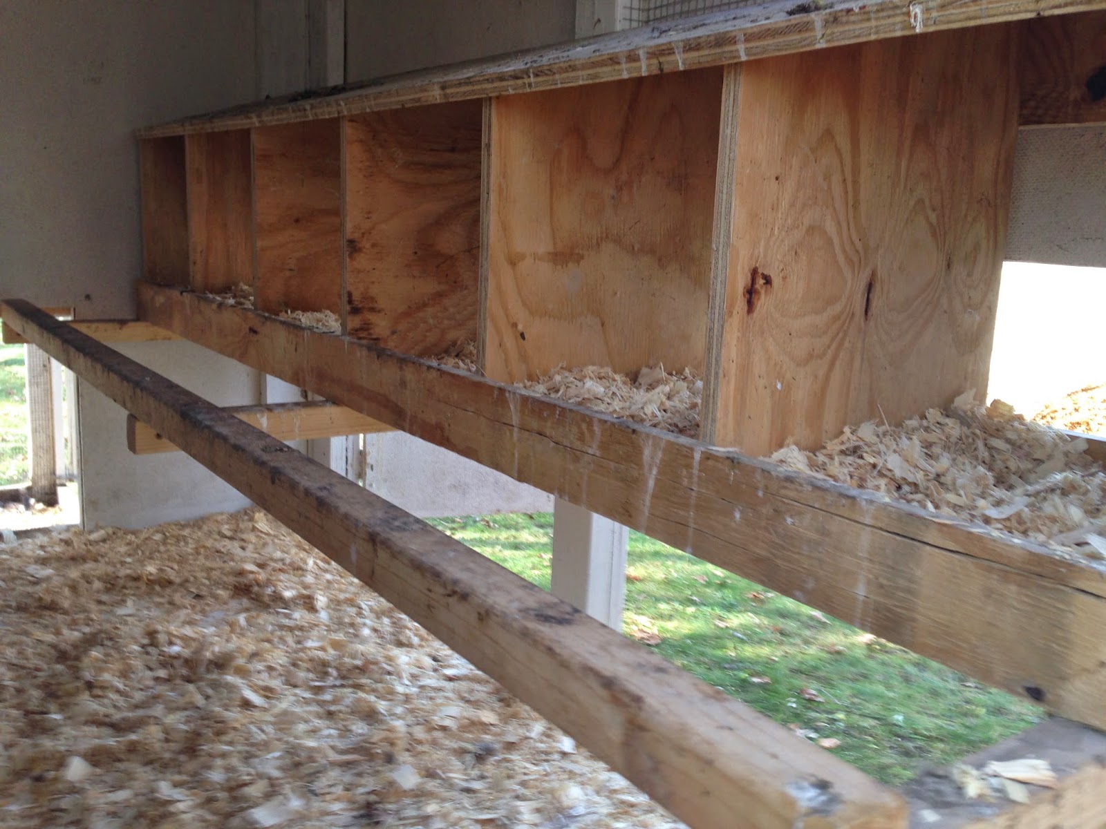 Minnesota Homesteader Chicken Coops