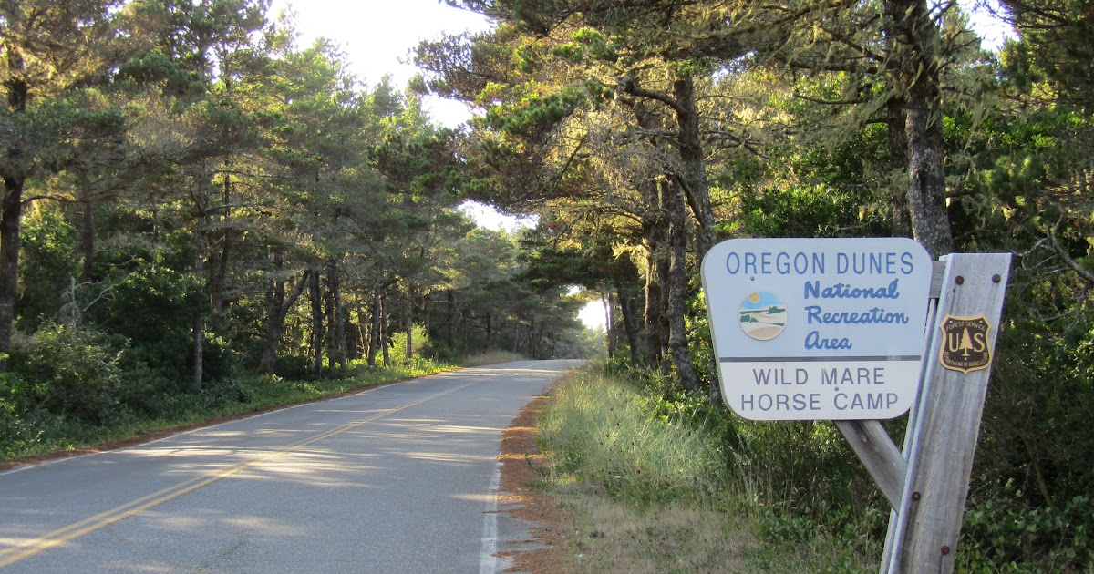 Holly S Horse Tales And Trails Wild Mare Horse Camp And The North Spit Trails Oregon
