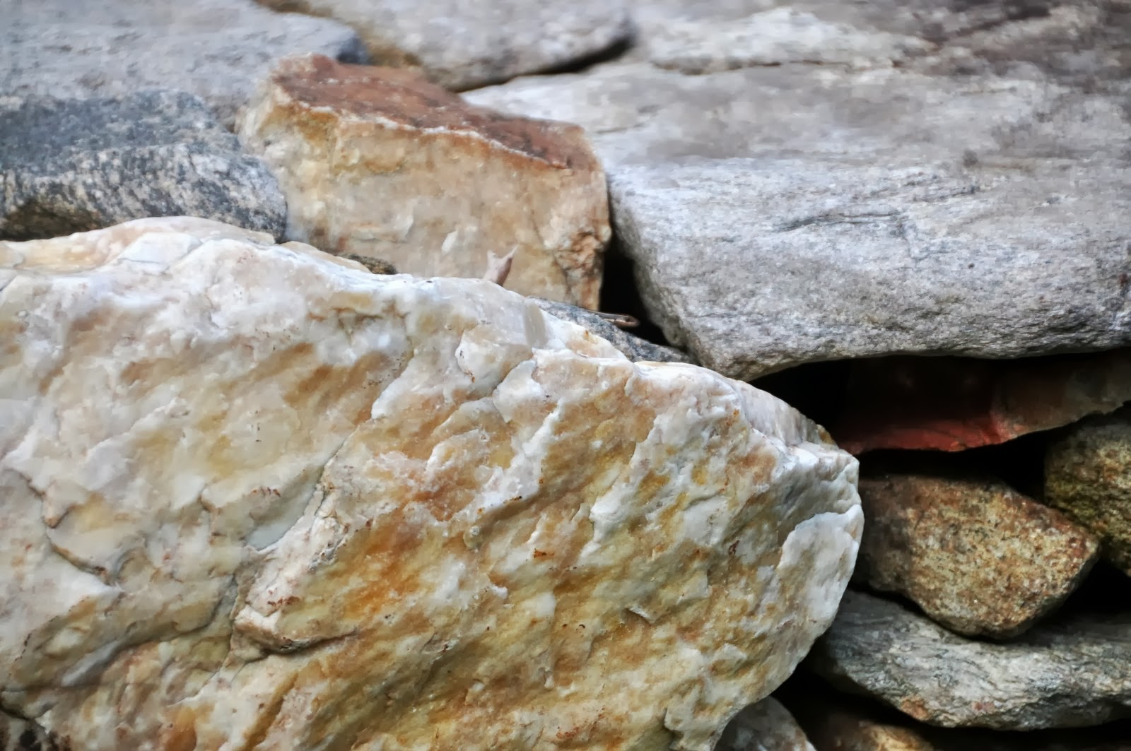 Vicki Lane Mysteries: Animal. Vegetable, Mineral