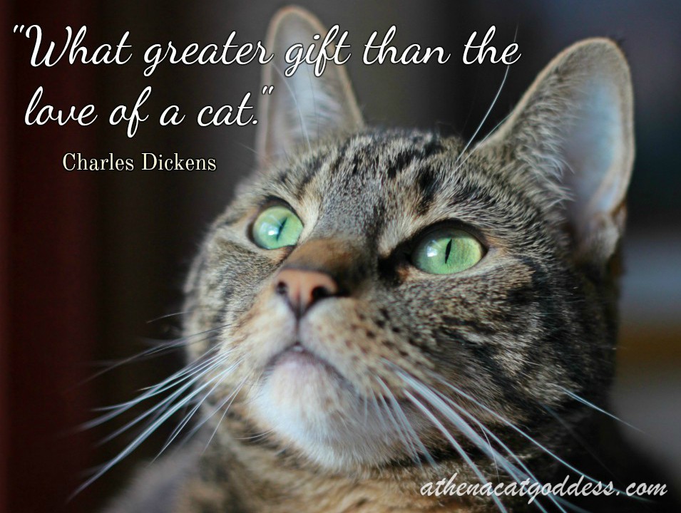 Athena Cat Goddess Wise Kitty: Wednesday Wisdom on #WordlessWednesday