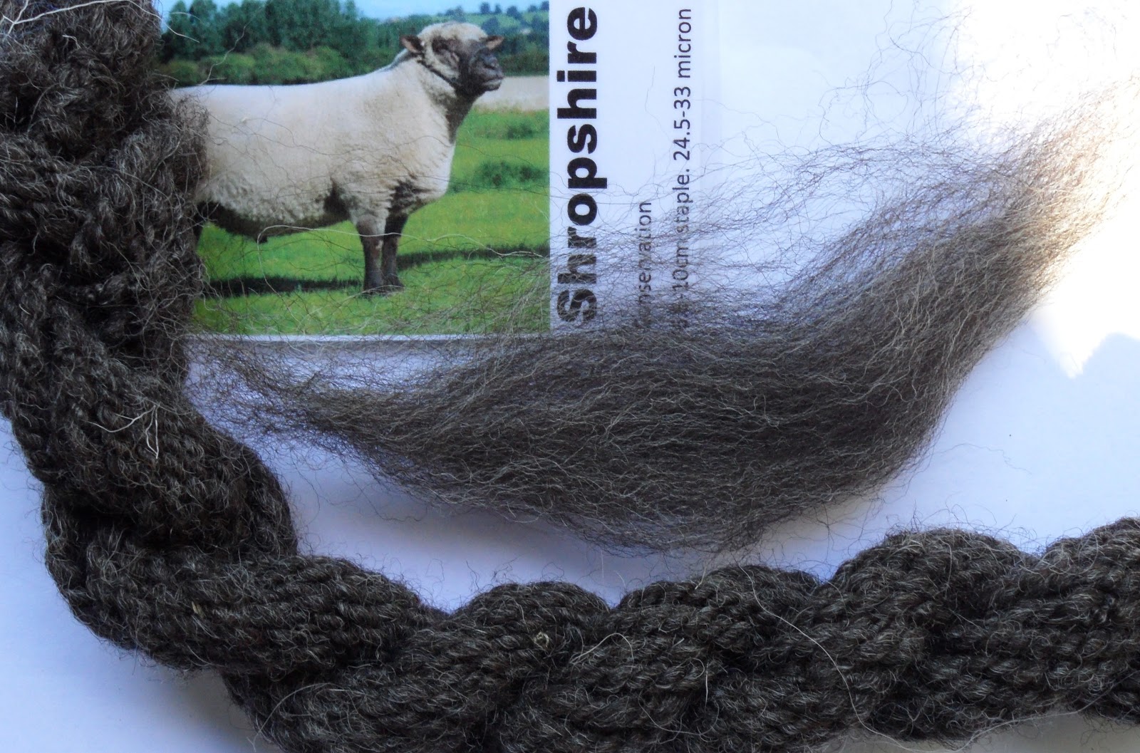 A Flock of Fleece Shropshire