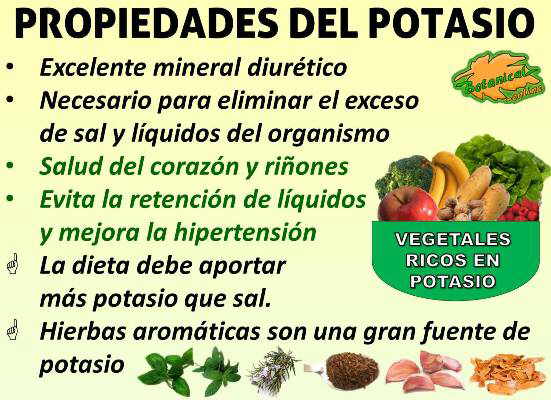 Blog de Plantas: ¿CUÁNTO POTASIO NECESITAMOS DIARIAMENTE?