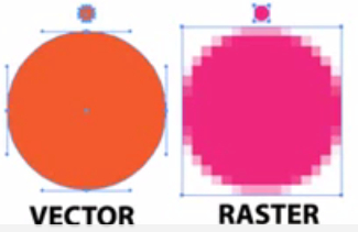 vector raster difference for animation vector raster difference for animation