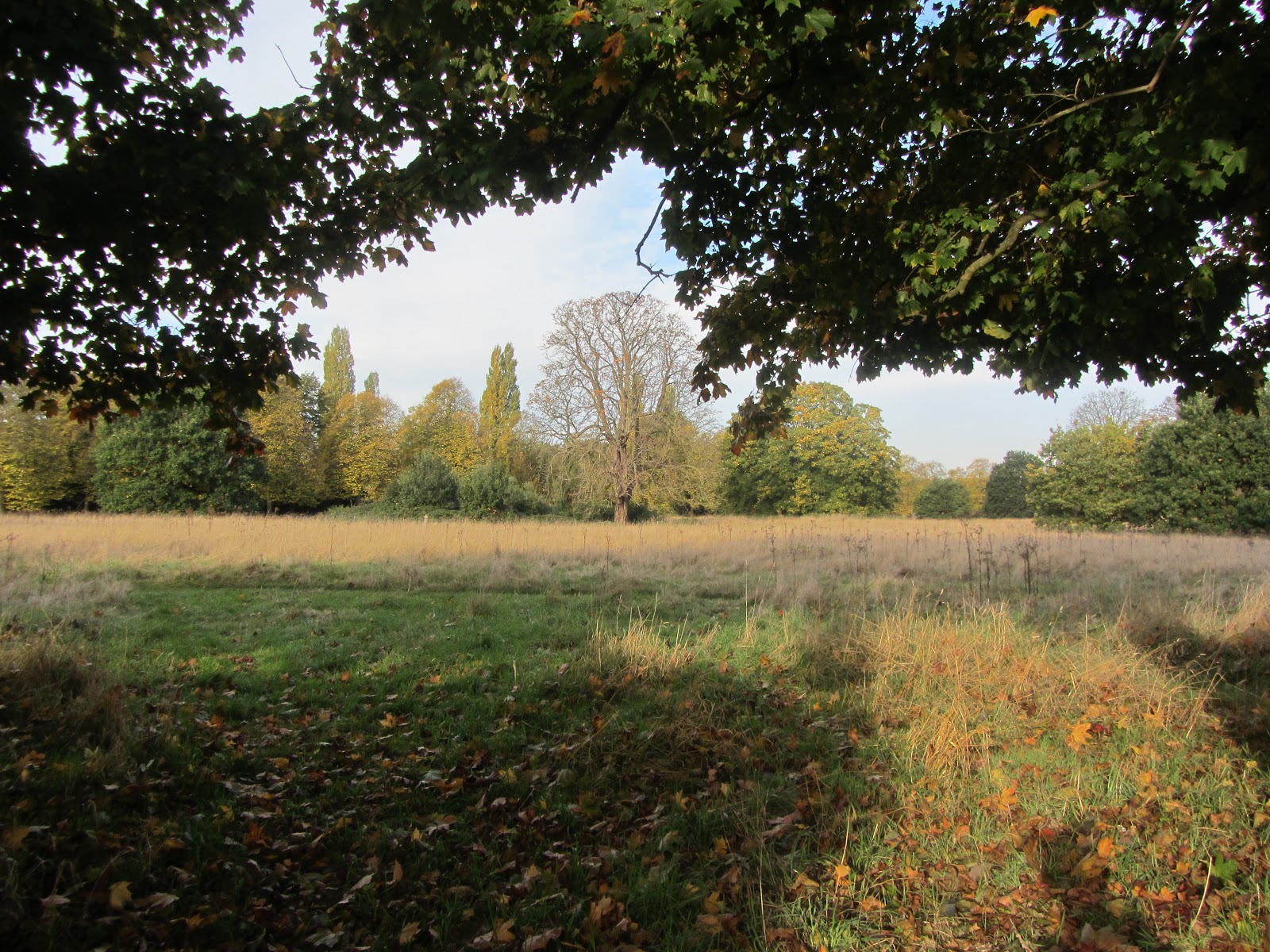 Ham Photos Ham Lands