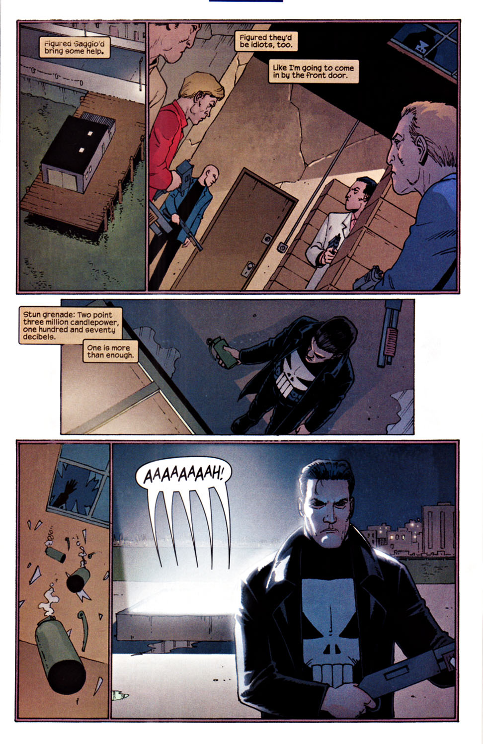 The Punisher (2001) issue 23 - Squid - Page 14