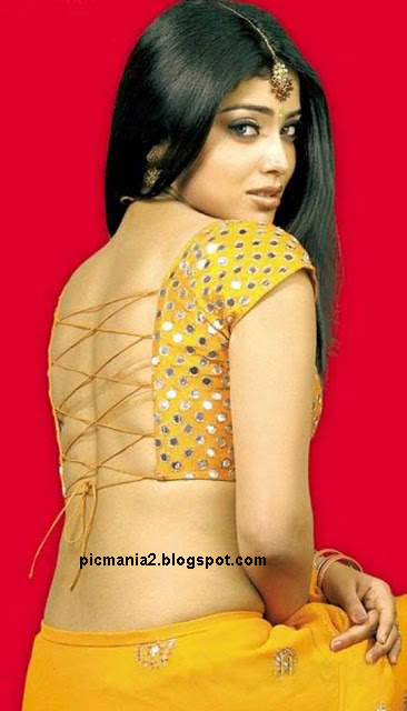 Shriya Saran showing her sexy bare back side with out bra wet saree image gallery