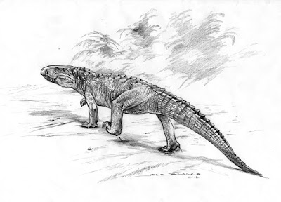 Campinasuchus