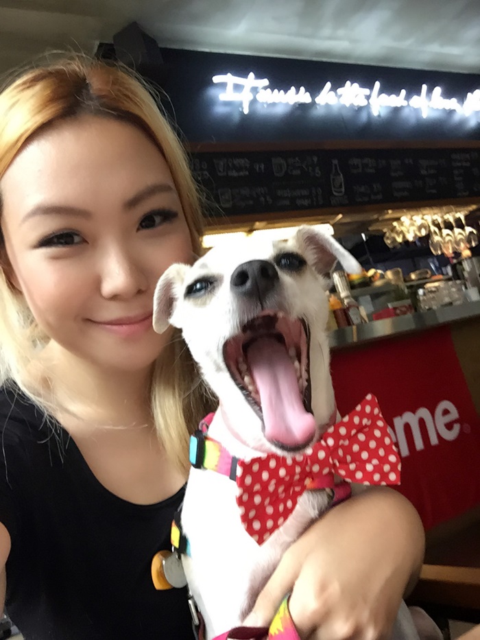 HAPPYHAZEL We went to a Dog Friendly Restaurant in Korea Stereo