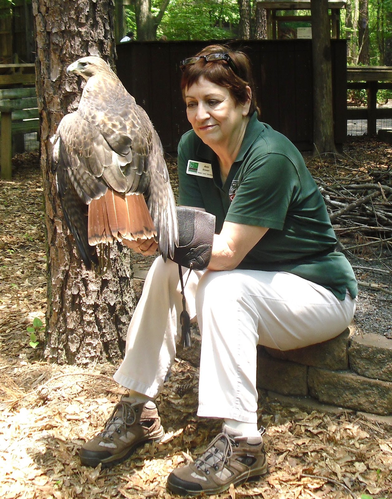 Travel NC With Kids: Carolina Raptor Center – See Eagles, Owls, Hawks ...