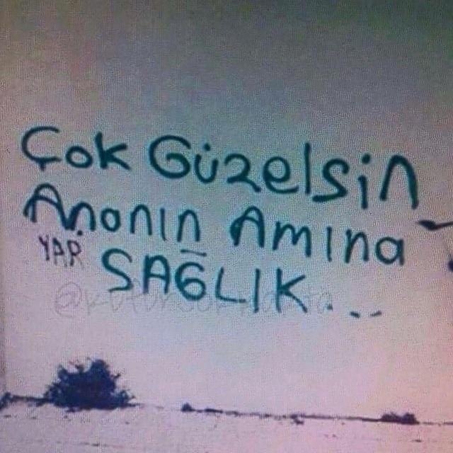Resimli Küfürlü Sözler Duvar Yazilari Küfür Sokakta 2018 GamTeli