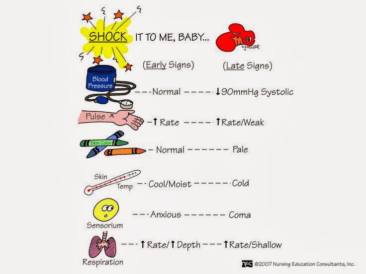 Image of the World&rsquo;s Greatest EMT Study Guide