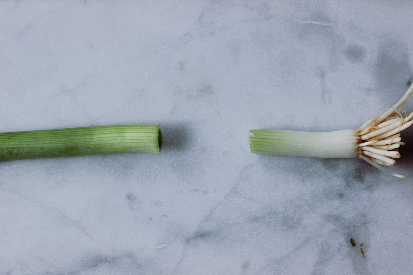 How to Grow Green Onions in Water Hannah Ra