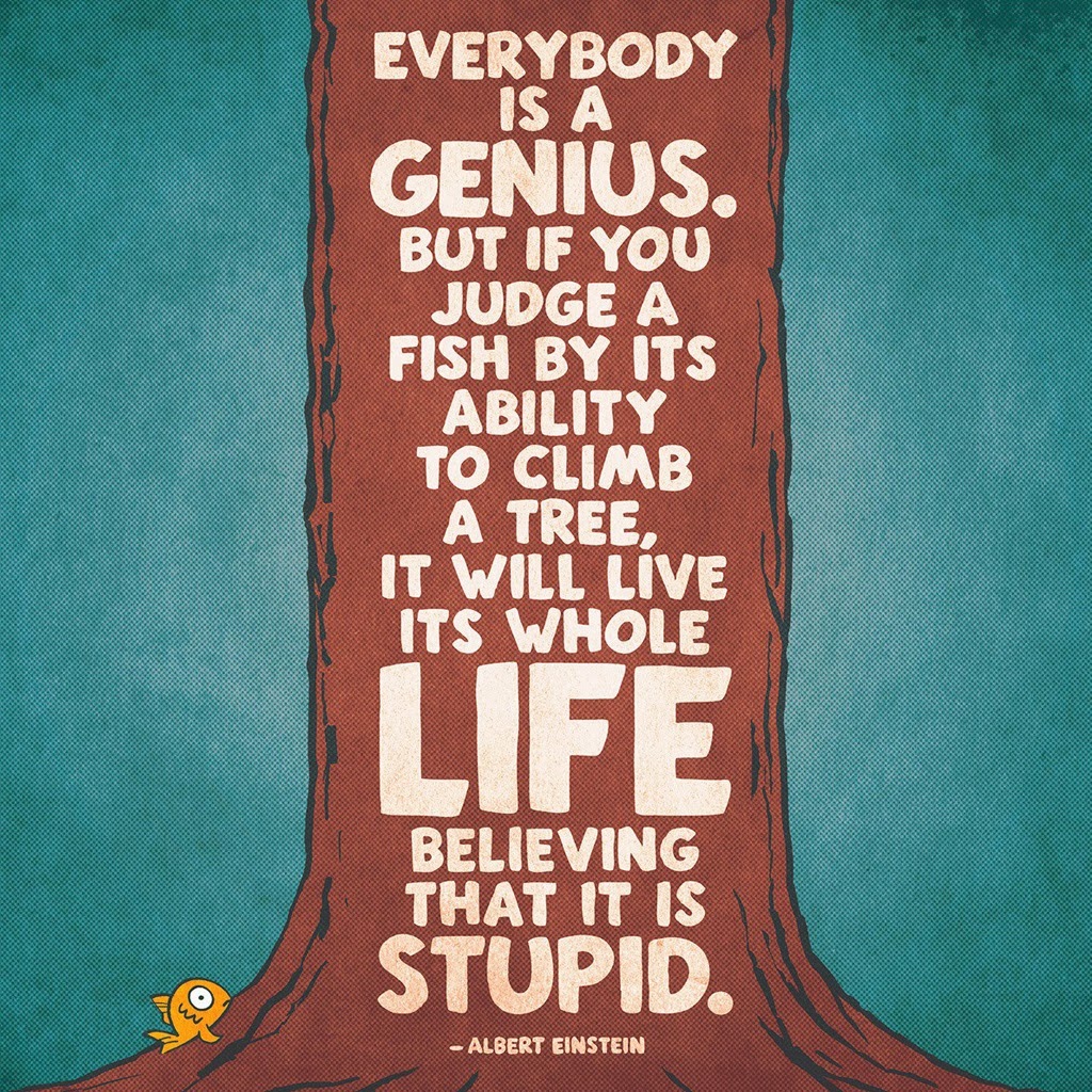 That's Where You'll Find Me  Fish Can't Climb Trees