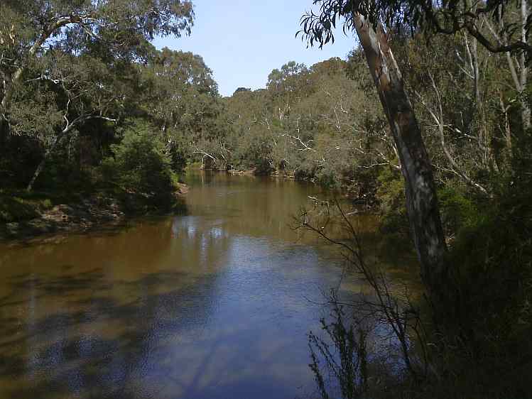 TRACKS, TRAILS AND COASTS NEAR MELBOURNE Exploring Yarra Bend Park