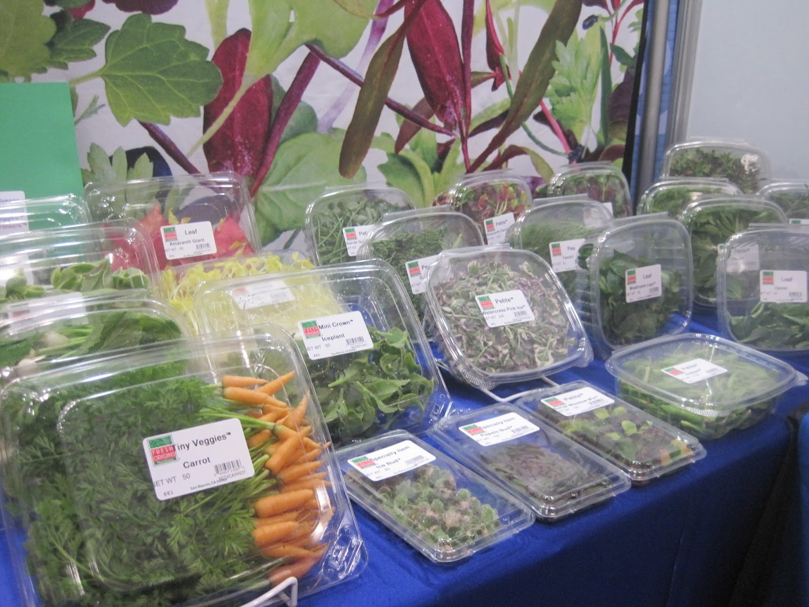 Whom You Know DAYLIGHT Fresh Origins Microgreens & Edible Flowers One