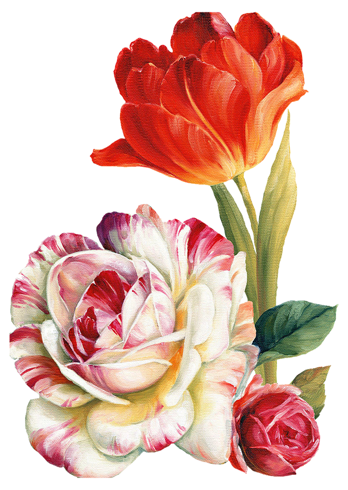 Flower Painting_By Lisa Audit_PNG_(69 item) | Joy Design Studio