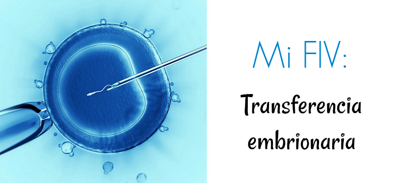 engrosar el endometrio naturalmente